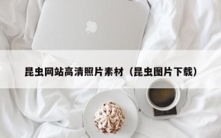 铜陵昆虫网站高清照片素材（昆虫图片下载）